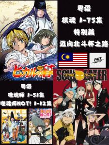 粤语广东话卡通电视动漫《棋魂/棋灵王》《噬魂师/噬魂师NOT!》USB3.0 MP4 马来西亚🇲🇾发货 32GB