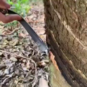 ส่งจากไทย มีดกรีดยางพารา สำหรับต้นยางพารา เปลี่ยนใบมีดได้ ไม่ต้องลับคม มีดกรีดน้ำยาง ใบมีดตรง ใบมีดเอียง ใบมีดโค้ง