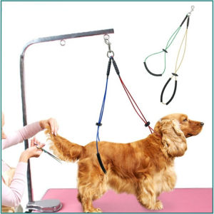 Pet Safety Leash DEUX: Fixed Adjustable Grooming Restraint Loop