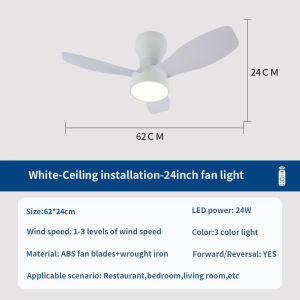 24 Inch Mini Ceiling Fan with Remote Control and Lighting Small Silent Fan for Bedrooms Dining Rooms Kitchens and Apartments