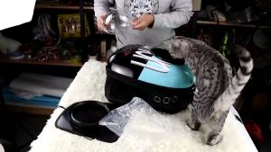 TRENY Pet Dog Cat Carrier Bag Travel Essentials Fashion Bag Foldable Portable Beg Kucing Besar 宠物 猫狗 出行包 外出包