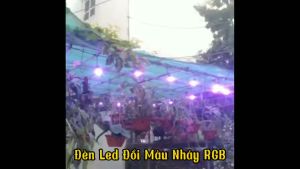 (Bảo Hành 2 Năm) Combo 20  10 Bóng Đèn Chanh Bóng Led 1W Đổi Màu Trang Trí Nhà Cửa  Led RGB 7 Màu Nháy Đổi Màu Tự Động Chống Nước