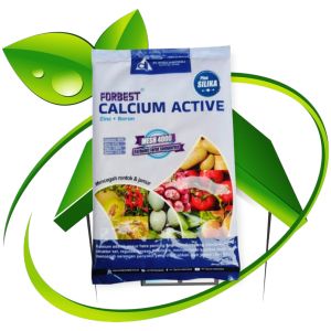 Pupuk FORBEST CALSIUM ACTIVE 1KG NUTRISI PENCEGAHAN RONTOK BUNGA BUAH DAN MENCEGAH JAMUR Tanaman