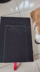 Dog Nail File Board Dog Paw Scratch Pad Wooden Sandpaper Board Scratcher