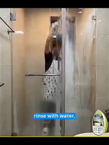 Bathroom Cleaner Bathroom limescale cleaning brush Tiles Cleaner Stain Remover Toilet Bowl Cleaner Comes with a brush