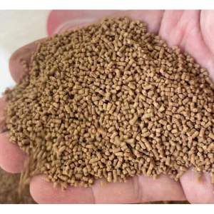 Shrimp Feed (Blanca feed) baja udang makanan udangsinking pellet prawn feedlobster feed crayfish feed baja lobster