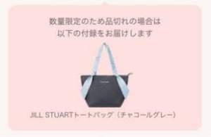 Japan JILL BY JILL STUART emook magazine soft canvas dark grey blue sash ribbon travel tote bag