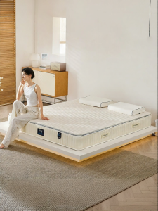 ASNUG | Nệm Lò Xo Độc Lập Túi Cao Su Thiên Nhiên Kháng Khuẩn Chống Kí sinh Trùng