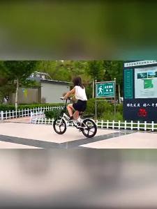 Portable Folding Bicycle with Shock Absorption 20 Inch