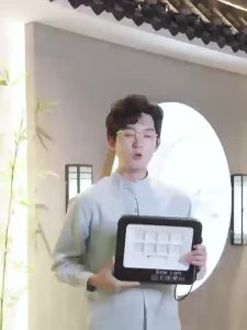 FSL | Solar LED Ultra-bright Waterproof Motion-sensing Courtyard Light