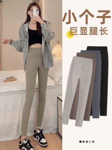 Womens Sharkskin Yoga Pants Thin Elastic Slimming Sporty Base Layer Pants Spring Autumn Small Size Eighteen Fashionable