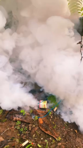 No insects for 10 years Buy 1 Free 1 Insecticide smoke bomb 360° no-dead-angle killing insect killer Eliminate both insects and their eggs pest control Effective against cockroaches mosquitoes bed bugs centipedes flies ants etc cockroaches ant killer 杀虫烟剂