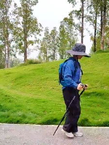 Tongkat gunung Hiking Lipat Adjustable 65-135cm Tracking Pole Anti Slip/Kuat Tongkat Gunung DMO M14