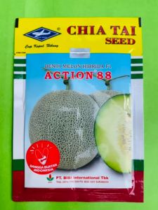 Benih Melon Hibrida F1 ACTION 88: Panduan Lengkap