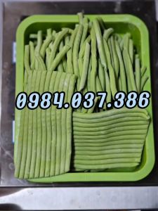 Máy vo viên trân châu máy làm viên khoai dẻo máy làm viên hoàn mềm