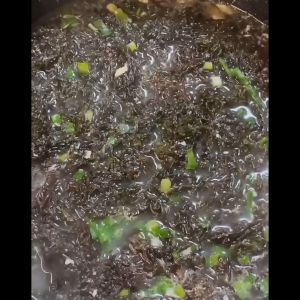 สาหร่ายทะเล อย่างดี南澳紫菜สาหร่ายทะเล - เกรดเอ 2แผ่น สำหรับแกงจืดเต้าหู้หมูสับ, อาหารเจ, สุขภาพ, ทอดและเมนูอื่นๆ