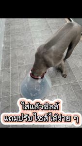 ปลอกคอกันเลีย สำหรับสุนัขและแมว วัสดุพลาสติก สีขาวขุ่น ทำความสะอาดง่าย สำหรับทุกสายพันธุ์