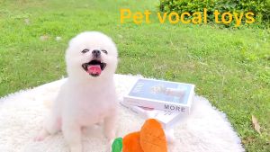 [HAKO PETSHOP] Mainan anjing squeaky dog toy gigitan bunyi/ Dog Squeaky Toy Boneka Anjing Kucing