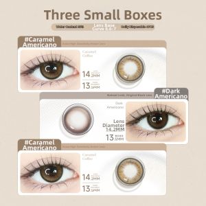 GLAM UP | Colored Daily Disposable Small Diameter Brown Contact Lenses 6 Pack