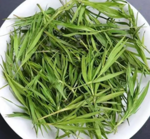 Fresh bamboo leaf tea green bamboo leaf new tea tender buds     竹叶茶