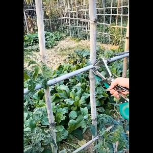 Hand Tying Machine - Alat Pengikat Lanjaran Tanaman - Paket Tape Tool Tapetool set Alat pengikat lanjaran batang tanaman