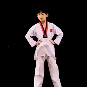 Taekwondo Uniform For Kids And Adults Taekwondo Suit With White Belt V-Neck White Taekwondo T-shirt