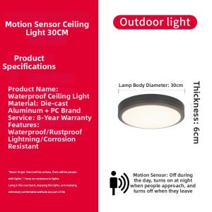 VINCAN | Waterproof Anti-Insect Ultra Bright Outdoor Ceiling Light