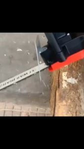 เลื่อยโซ่ไฟฟ้า 12 นิ้ว เลื่อยไฟฟ้า เครื่องแรง ตัดเร็วไม้ เลื่อยโซ่ไฟฟ้าพกพา เลื่อยยนต์ เลื่อยตัดไม้ 12นิ้ว เครื่องตัดไม้ เลื่อยโซ่ เลื่อยโซ่ยนต์ เลื่อยยนต์ตัดไม้ เครื่องเลื่อยไม้ 1200 W Brushless