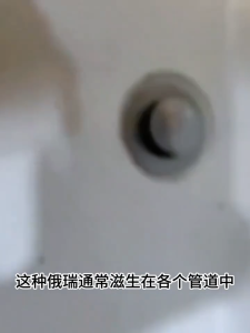 SG Stock|Sewer insecticide kills small flying insects Insecticide lotion toilet kitchen