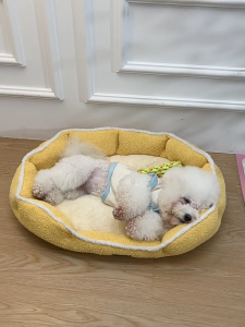 Winter Plush Cloud Dog Bed for Small Medium Dogs Warm Comfortable Pet Sleeping Nest with High Sides