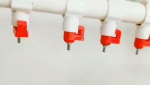 25mm 10/50/100pcs Chicken Drinker Steel Ball Connected One Hanging Cup Automatic Drinker Nipple Type Chicken Water Line Breeding Equipment