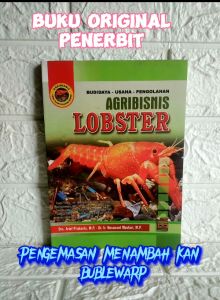 AGRIBISNIS BUDIDAYA LOBSTER