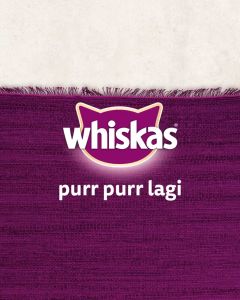 Whiskas Junior Kitten Adult Senior Cat Pouch Wet Food 80G