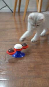 Cat toy spring man funny cat ball cat turntable toy feather spring toy funny interactive Mainan Kucing