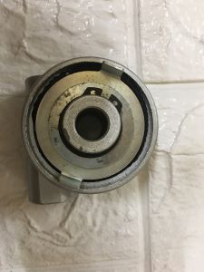 Củ sâu công tơ mét. Cóc ctm
