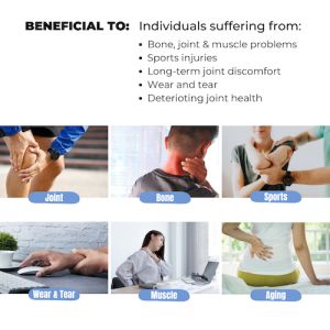 Regenerix Gold Premium Joint Repair & Mobility Support | BioCell Type II Collagen Hydrolyzed for Maximum Absorption | Fast-Acting Tissue Support Formula | Effective For Joint Pain Knee Pain Relief  Joint Mobility Stiffness | SG Seller