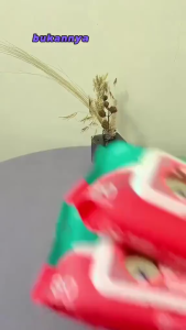 80s Tisu Basah Anak Bayi Pure Baby Wipes No Alcolhol 80 Sheet