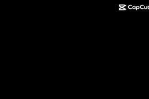 สแตน100% แผ่นกันหนูรถ แผ่นกันหนู รถไฟฟ้า BYD Dophin Atto3 Ora Good Cat Neta V ตะแกรงกันหนู กันกรองอากาศ บีวายดี เนต้าวี สเเตนเลส304 แท้