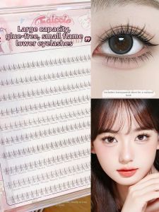 Faiccia | Mi Giả Thiên Nhiên Không Cần Keo cho Phụ Nữ