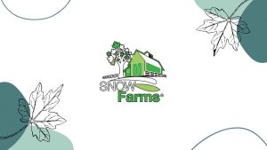 Trái Nam Việt Quất Khô Snow Farms Dried Cranberries Nhập Khẩu Canada