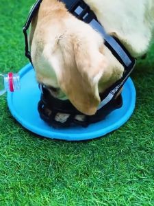 【100% breathable and drinkable water】dog mouth cover dog muzzle dog muzzle for big dogs dog mouth guard Anti-biting Barking dog mask 狗嘴套 狗口罩