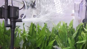 SB Aquarium Multifunction Long Extension Submersible Water Pump Pump tengelam akuarium paip sedut panjang 水族潜水泵 WP series WP-990 WP-1990 WP-2990 WP-3990