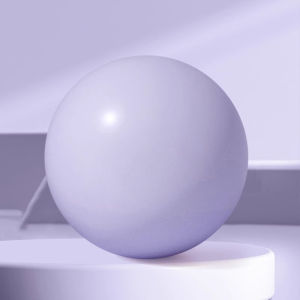 Rooxin | 25cm Yoga Ball Pilates Ball Explosion Proof Yoga Core Ball Indoor Balance Fitness Ball Pilates Yoga Fitness Equipment