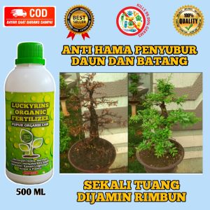 POC TERAMPUH DAN TERBAIK UNTUK SEGALA TANAMAN