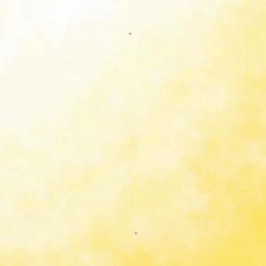 12 Colors Premium Acrylic Paints with 3 Brushes For Students, Crafters & Artists