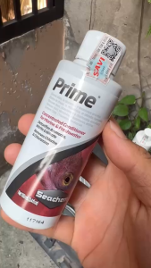 Seachem Prime chính hãng SICAVI - Dung dịch xử lý nước cho hồ cá cảnh khử độc Amoniac kim loại nặng...