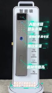 Tuya WiFi 3D Face Recognition Smart Door Lock with Camera - Fully Automatic Biometric Fingerprint Security System Smart Home Access Control