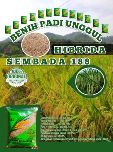 BENIH PADI HIBRIDA SEMBADA 188 KEMASAN 1KG