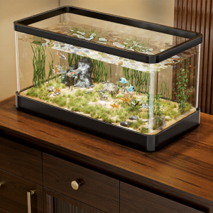 XINGYOU | Home Compact Filter Oxygen Pump