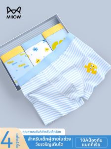 MiiOW | Comfortable Pure Cotton Underwear 12+ Years Boys Youth